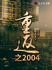 重返之2004